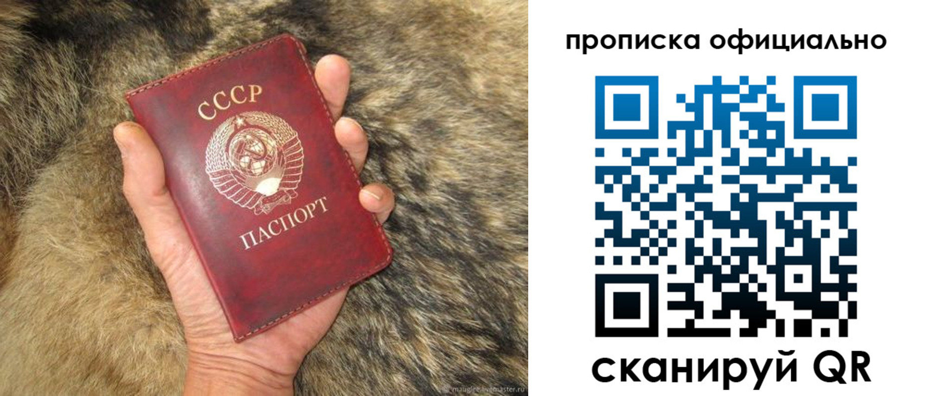 прописка паспорт в Геленджике
